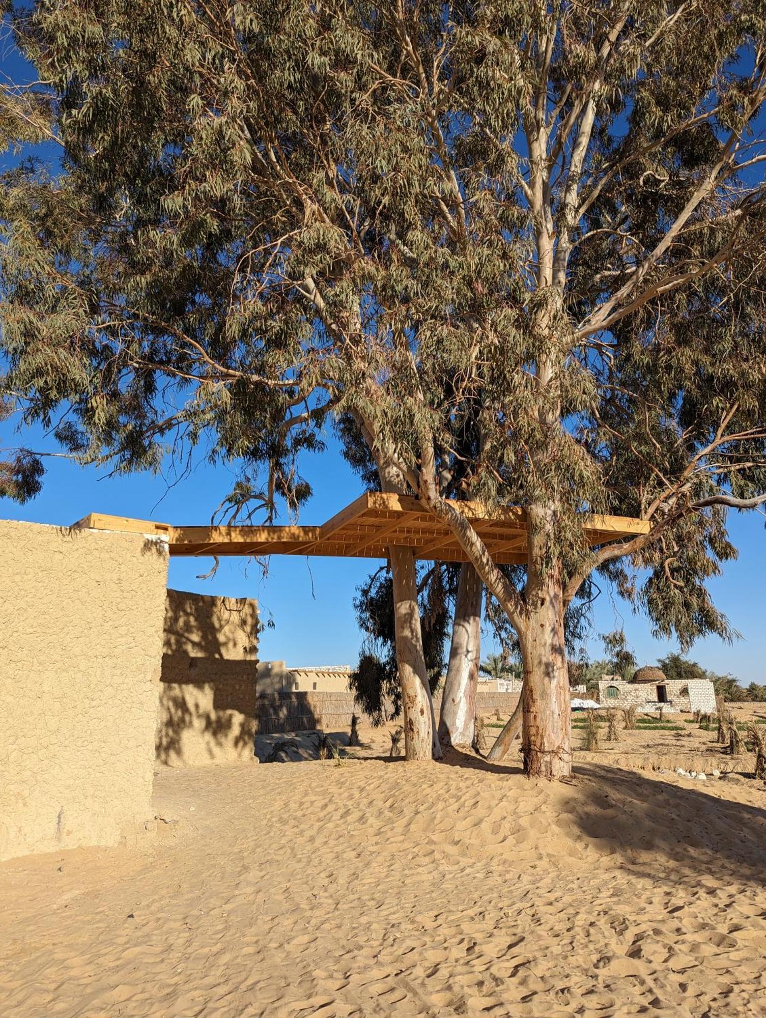 Cafour House Siwa - Hot Spring Hotel Siwa Oasis Exterior foto