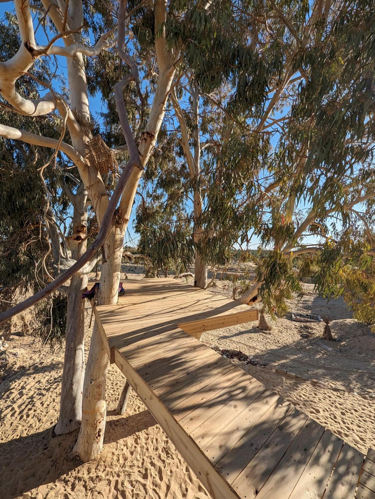 Cafour House Siwa - Hot Spring Hotel Siwa Oasis Exterior foto
