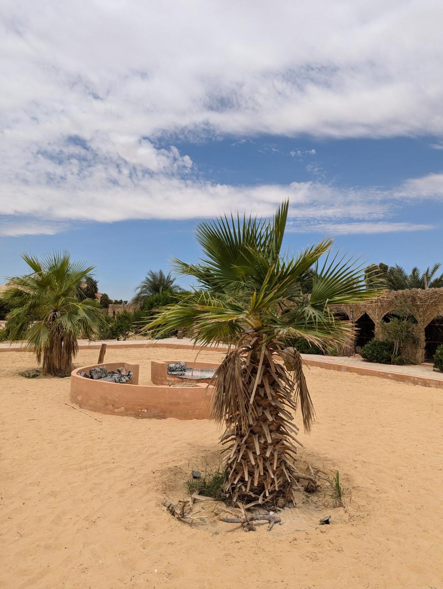 Cafour House Siwa - Hot Spring Hotel Siwa Oasis Exterior foto